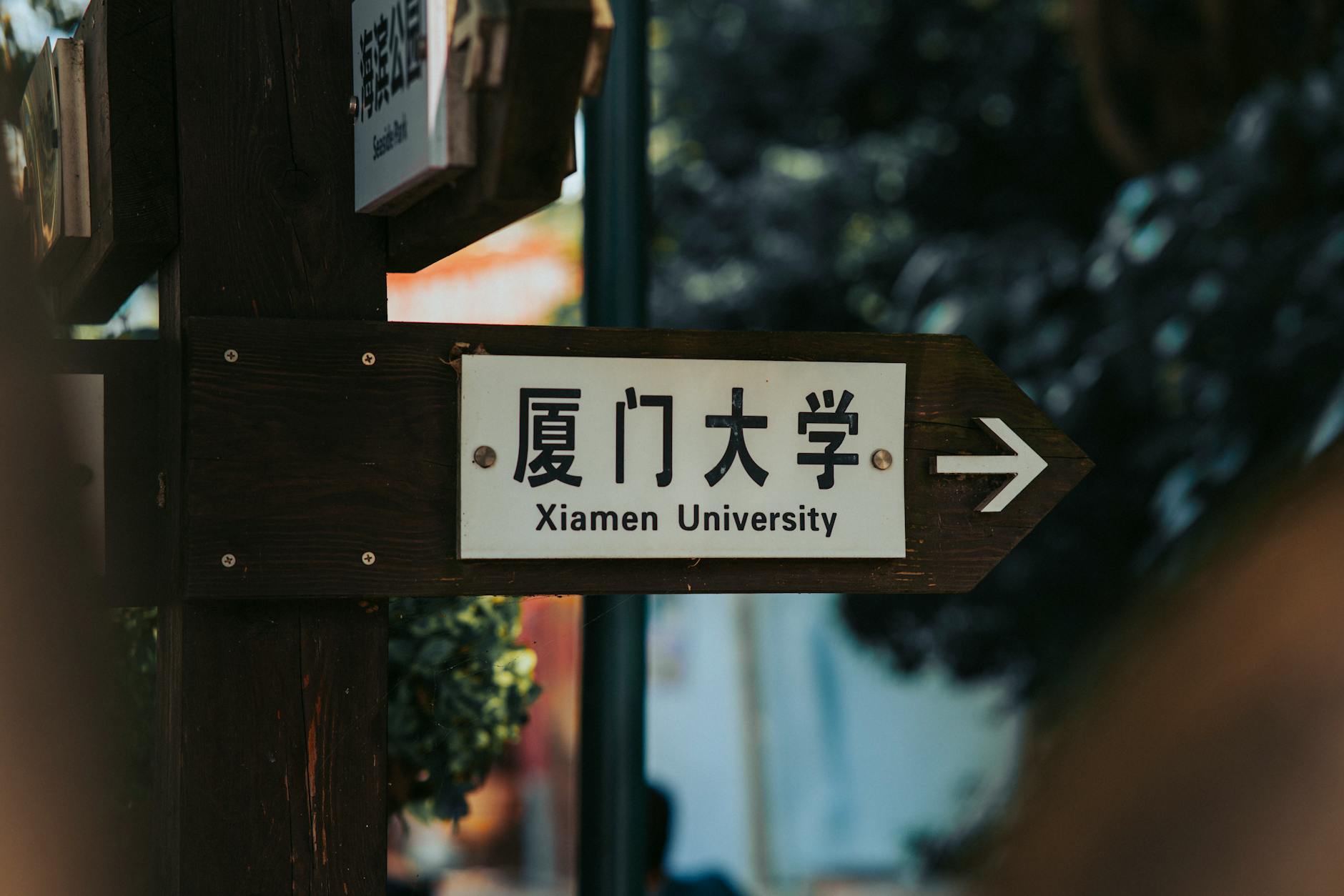 达人投放管理系统推荐品牌：先算5笔亏损